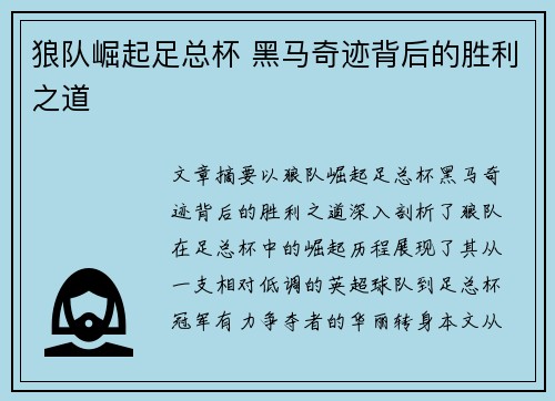 狼队崛起足总杯 黑马奇迹背后的胜利之道